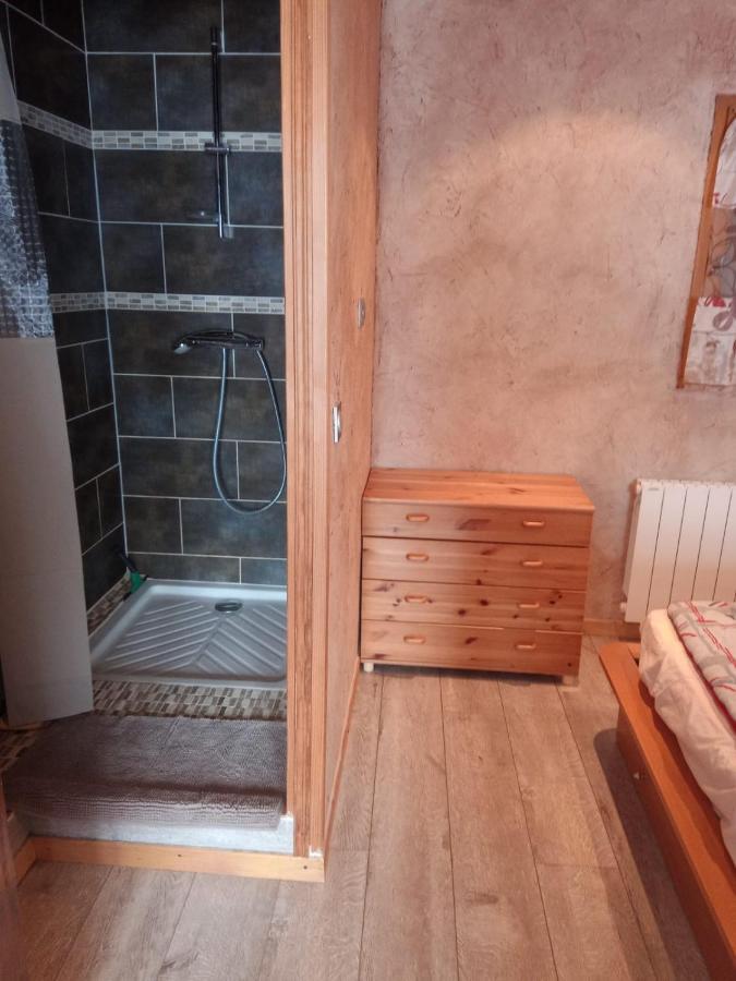 Appart La Porte Des Neiges - Saint Jean De Sixt 외부 사진